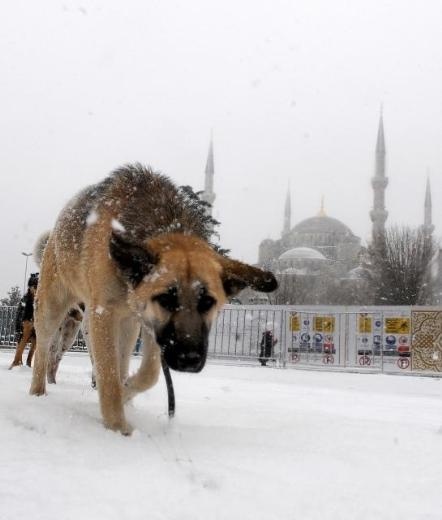 İstanbul'dan kar manzaraları