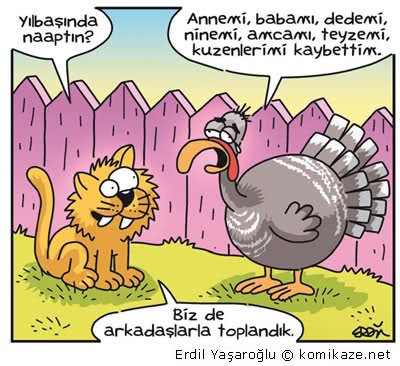 Güldüren yılbaşı karikatürleri!