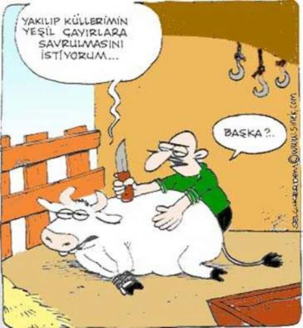 Güldüren yılbaşı karikatürleri!