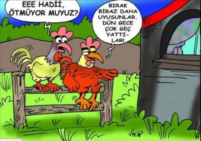 Güldüren yılbaşı karikatürleri!