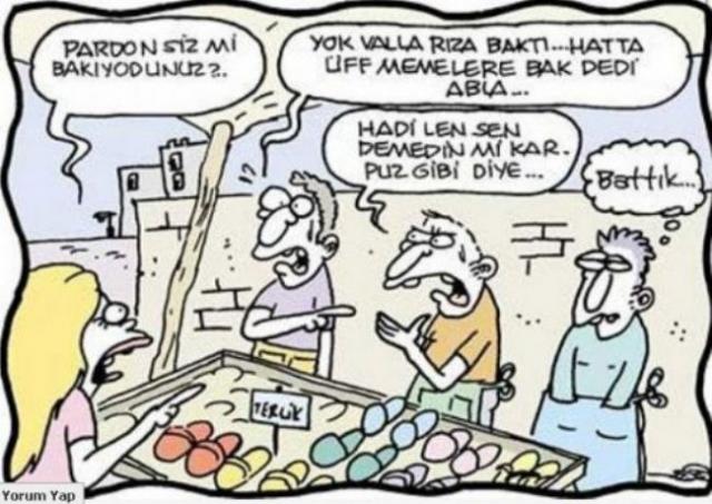 Güldüren yılbaşı karikatürleri!