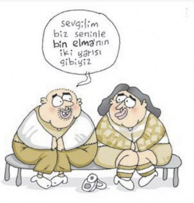 Güldüren yılbaşı karikatürleri!