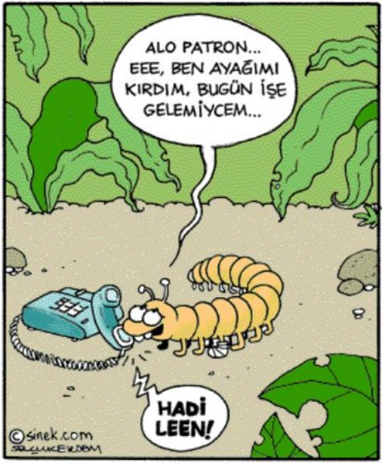 Güldüren yılbaşı karikatürleri!