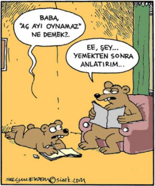 Güldüren yılbaşı karikatürleri!