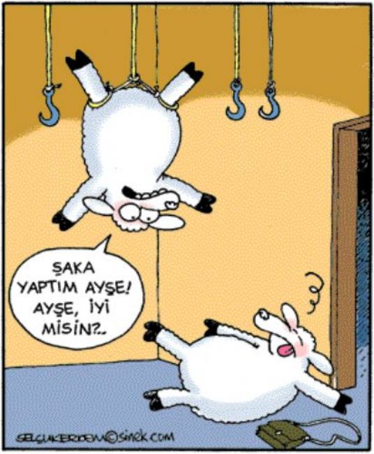 Güldüren yılbaşı karikatürleri!