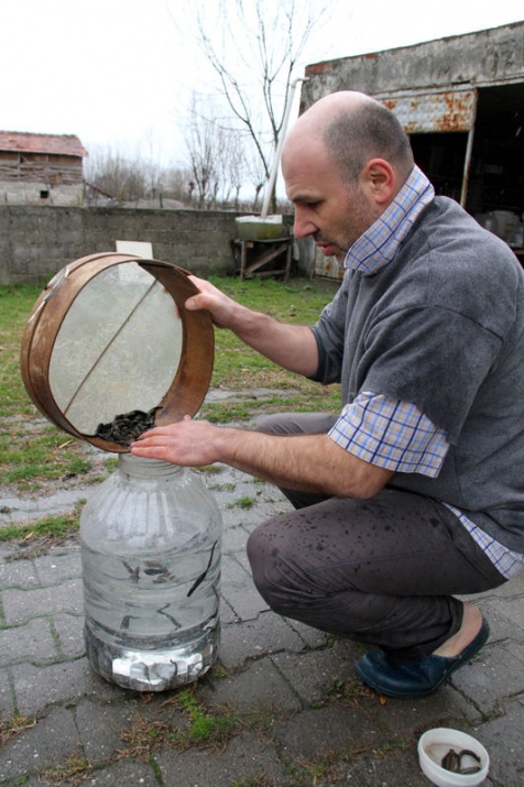 Tıbbi sülüğün fiyatı