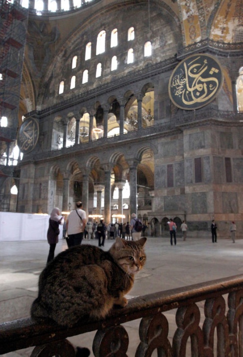 Ayasofya'dan büyüleyici fotoğraflar