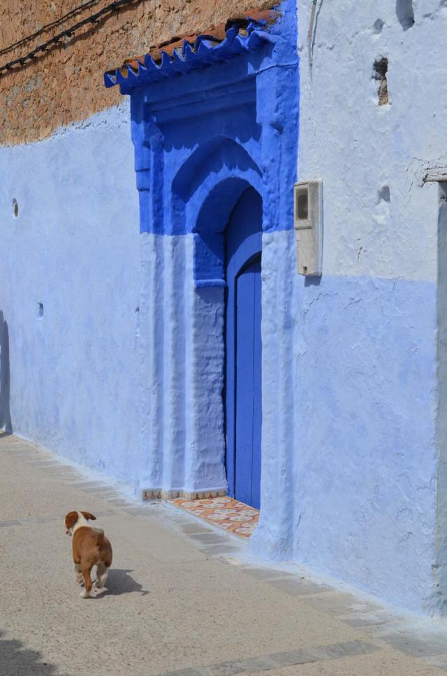 Mavi Şehir Chefchaouen'e bakın!