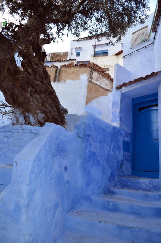 Mavi Şehir Chefchaouen'e bakın!