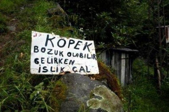 Bunları da gördük!