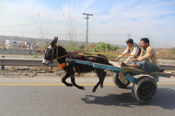 Dünya bu fotoğrafları konuşuyor!