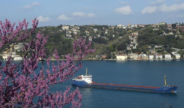 İstanbul'da erguvan vakti