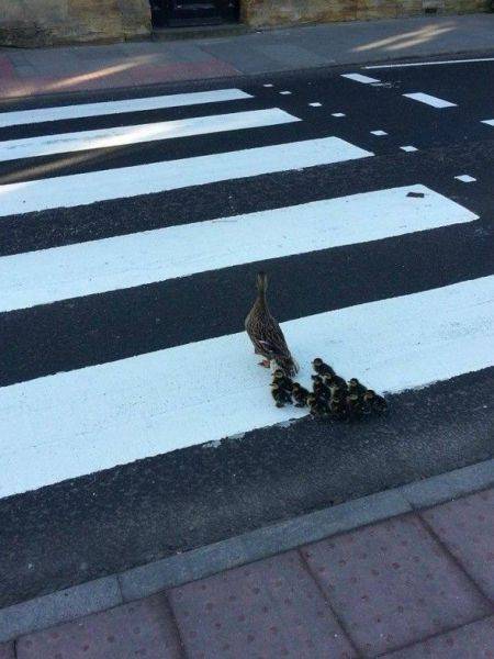 Günün en ilginç kareleri