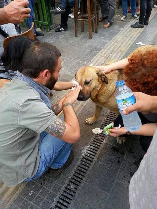 Arbedenin ortasında yaptıklarına bakın!