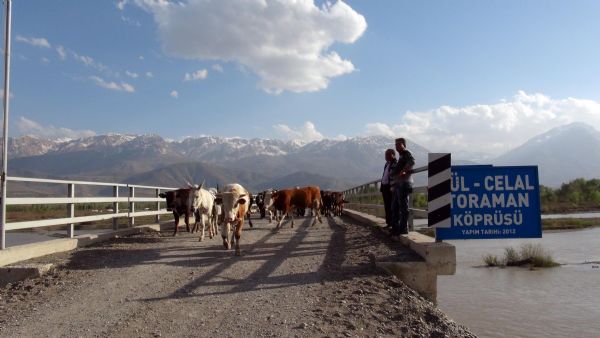 Hayvanlar için 1 milyon 150 bin liraya yaptırdı