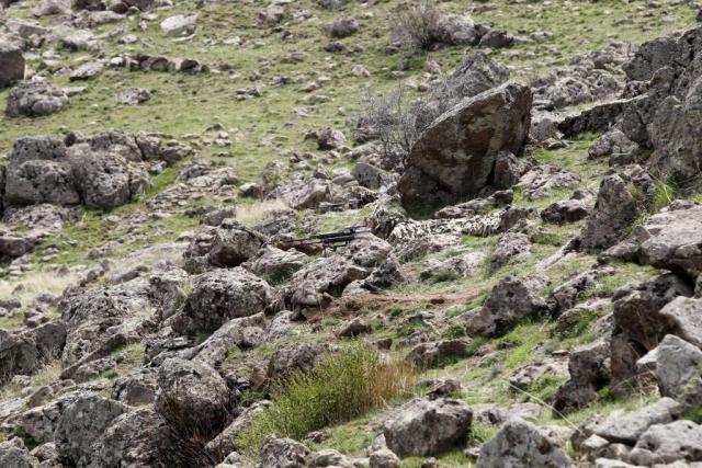 'Tek atış, tek ölüm'