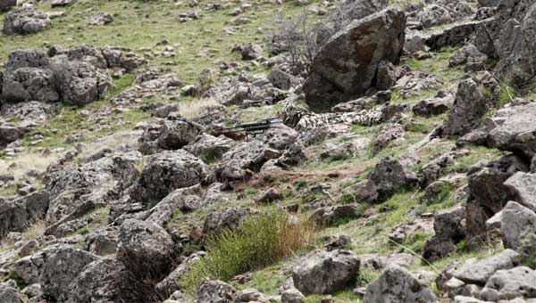 'Tek atış, tek ölüm'