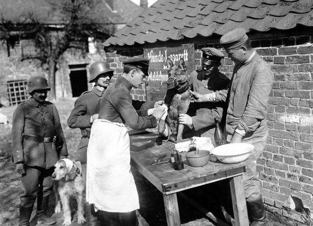 Bu haritaları ilk kez göreceksiniz