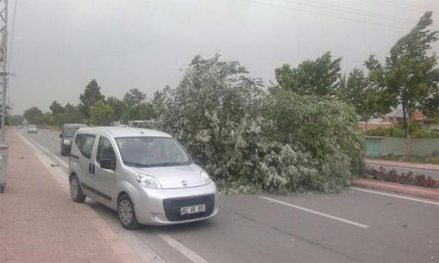 Konya'da hayat felç oldu