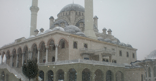 81 ilin cami haritası