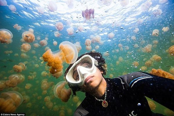 Bunlar nasıl selfi?