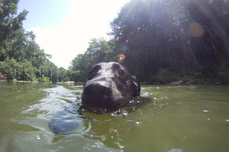 Muhteşem GoPro fotoğrafları!