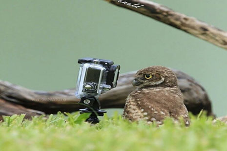 Muhteşem GoPro fotoğrafları!