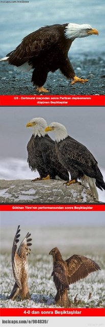 Caps çılgınlığı devam ediyor