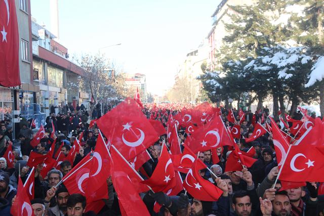 Şehitlere Saygı ve Milli Birlik Yürüyüşü