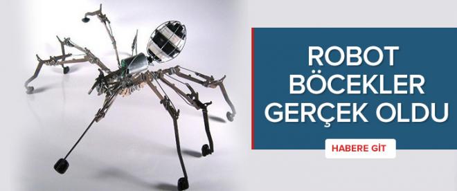 Robot böcekler için gerisayım