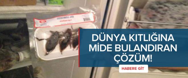 Dünyadaki kıtlığa mide bulandıran çözüm