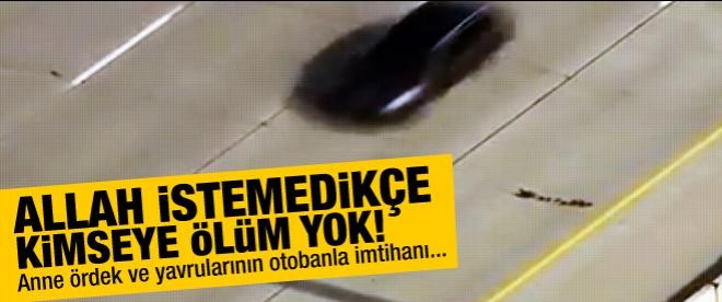 Allah istemedikçe kimseye ölüm yok!