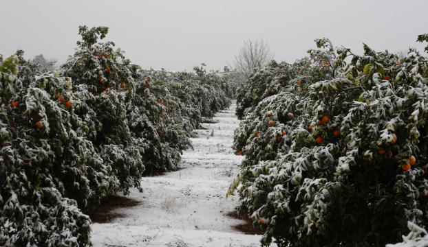 Antalyada kar yağışı