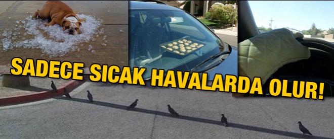 Bunlar sadece sıcak havalarda olur!