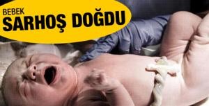 Bebek sarhoş doğdu!