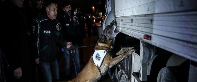 Narkotik köpekleri &quot;Lisa&quot; ve &quot;Şıla&quot; iş başında