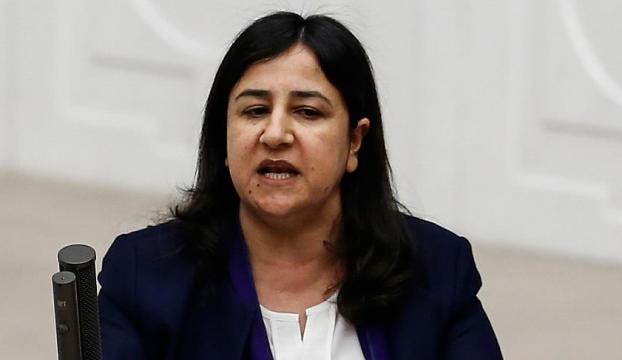 HDP Grup Başkanvekili Demirel tutuklandı