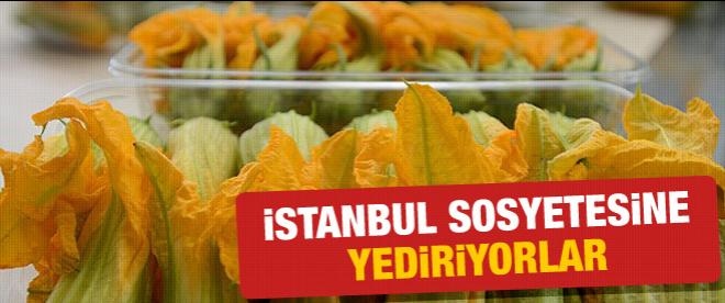 İstanbul sosyetesine çiçek yediriyor