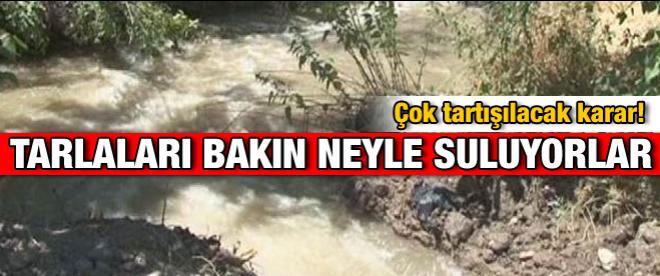 Çiftçiler kuraklıktan tarlaları bakın nasıl suluyor!