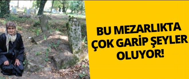 Bu mezarlıkta garip şeyler oluyor !