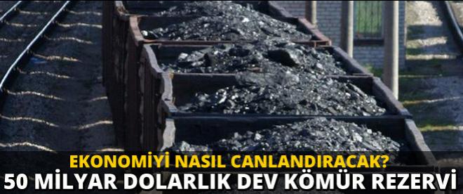 50 milyar dolarlık dev kömür rezervi!