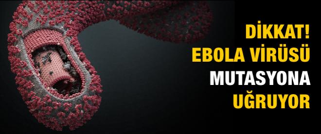 Ebola mutasyona uğruyor