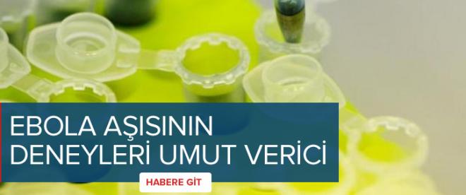 Ebola aşısının deneyleri umut verici