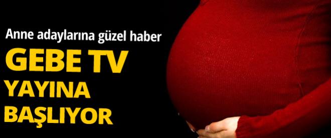 Gebe TV yayına başlıyor