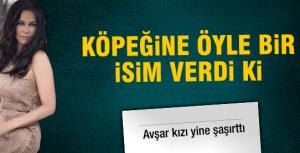 Hülya Avşar köpeğine öyle bir isim verdi ki...