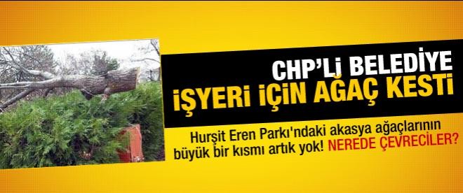 CHP’li belediye işyeri için ağaçları kesti