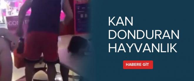 Kan donduran hayvanlık