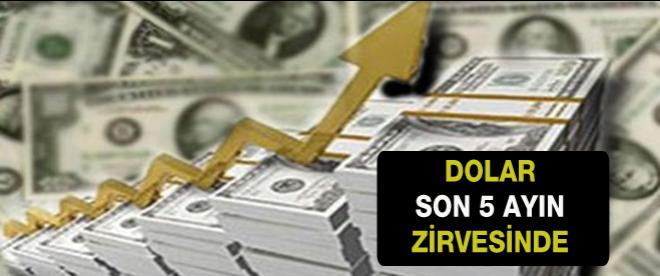 Dolar, 5 ayın zirvesinde