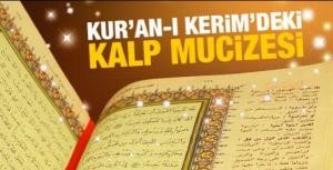 Kuran-ı Kerimdeki kalp mucizesi!