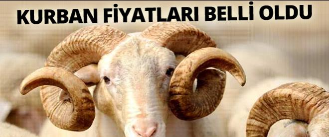 Bayrama sayılı günler kala fiyatlar belli oldu